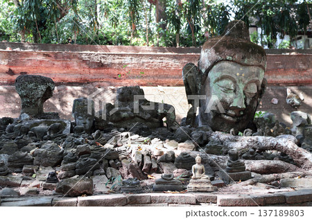Old Stone Head Buddha and Ancient Buddha statues, Wat Umong temple complex, Chiang Mai. Head of old Buddha statue at Umong Temple, Northern Thailand. Topic of vacation, travel, trip, cruise, tour 137189803