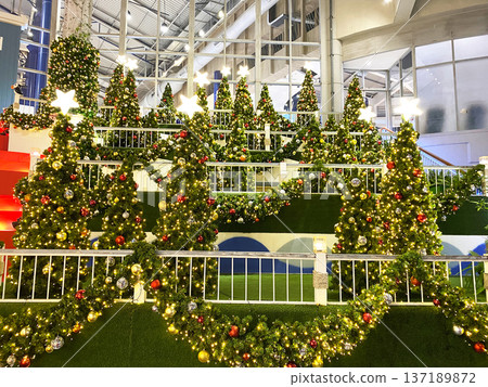 Festively decorated Christmas trees adorned with colorful ornaments and twinkling lights create a joyful holiday atmosphere in a vibrant indoor space with greenery and festive elements Festively decorated Christmas trees adorned with colorful ornaments and twinkling lights create a joyful holiday atmosphere in a vibrant indoor space with greenery and festive elements 137189872
