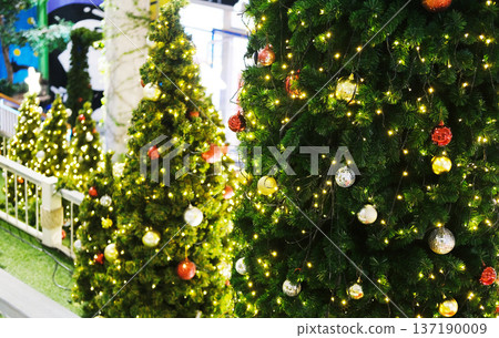 Lush Christmas trees adorned with colorful ornaments and twinkling lights create a festive atmosphere, perfect for holiday celebrations and New Year greetings with copy space for text Lush Christmas trees adorned with colorful ornaments and twinkling lights create a festive atmosphere, perfect for holiday celebrations and New Year greetings with copy space for text 137190009