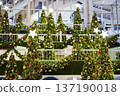 Festively decorated Christmas trees adorned with colorful ornaments and bright stars create a joyful atmosphere in a public space, enhancing the holiday spirit and inviting celebration 137190018