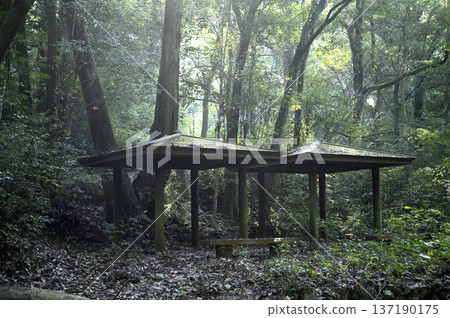 A rest area nestled in the deep forest: A gazebo and benches bathed in sunlight filtering through the trees 137190175