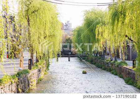 Bridge over Shirakawa River and willow trees in Higashiyama Ward, Kyoto City Bridge over Shirakawa River and willow trees in Higashiyama Ward, Kyoto City 137190182