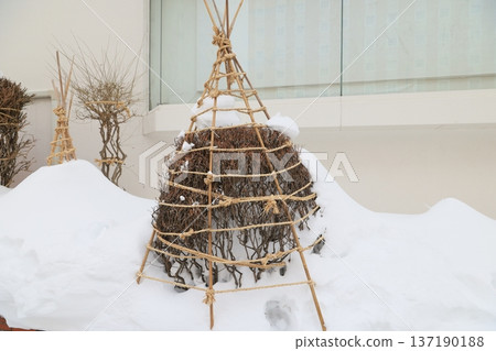 Winter enclosure 137190188