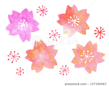 Watercolor cherry blossom gradient icon Watercolor cherry blossom gradient icon 137190467