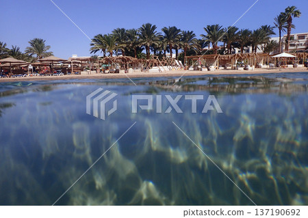 egypt beach in makadi bay 137190692