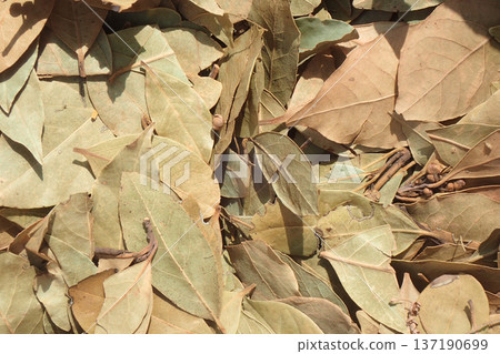 bay leaves grocery texture 137190699