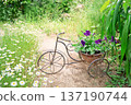 花園裡有一個仿古自行車造型的花架 137190744