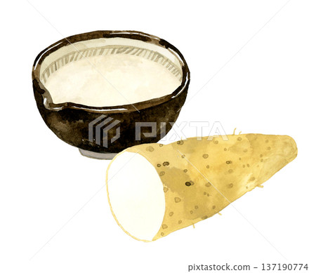 研缽中磨碎的山藥和切成兩半的長芋（日本山藥）手繪水彩插圖 137190774