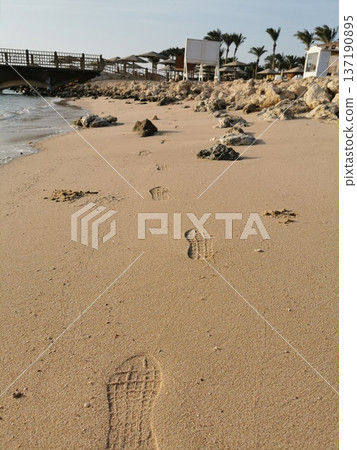 egypt beach in makadi bay egypt beach in makadi bay 137190895