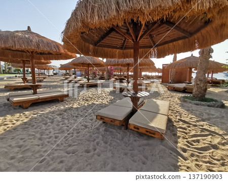 egypt beach in makadi bay 137190903