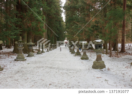 The long pathway to the Kitaguchi Hongu Sengen Jinja shrine, the entrance to the path to climb Mt. Fuji, lined with stone lanterns in Fujiyoshida in Yamanashi Japan on a snow covered winter day. The long pathway to the Kitaguchi Hongu Sengen Jinja shrine, the entrance to the path to climb Mt. Fuji, lined with stone lanterns in Fujiyoshida in Yamanashi Japan on a snow covered winter day. 137191077