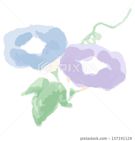 Easy watercolor illustration series for kindergartens and nurseries in July | Morning glory 137191129