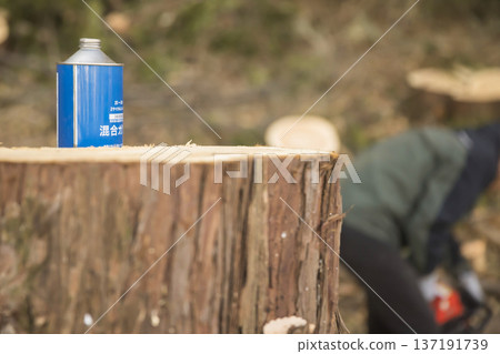 A middle-aged man cutting down a tree with a chainsaw and fuel placed on a stump A middle-aged man cutting down a tree with a chainsaw and fuel placed on a stump 137191739