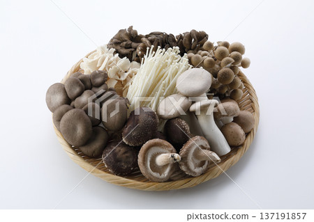 Various types of mushrooms in a colander on a white background 137191857