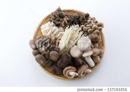 白色背景上的濾鍋裡盛著各種蘑菇 白色背景上的濾鍋裡盛著各種蘑菇 137191858