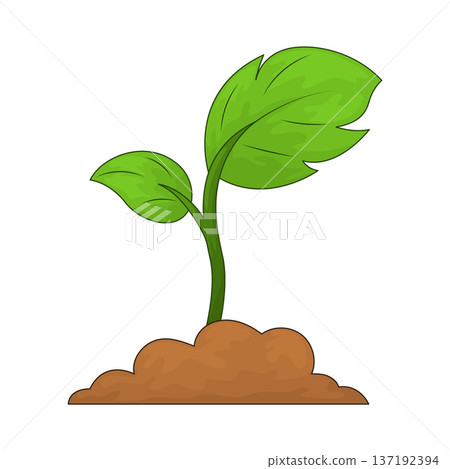 Illustration of Seedling Illustration of Seedling 137192394