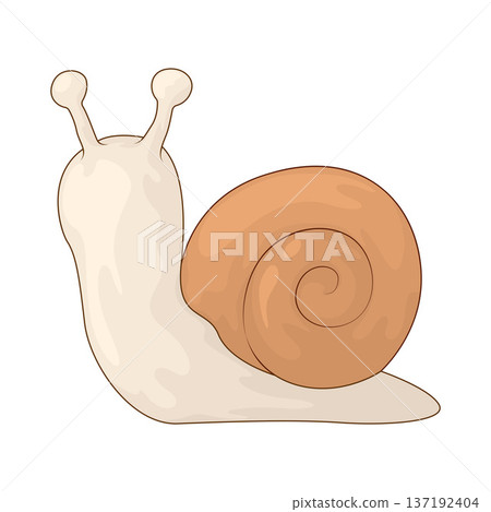 Illustration of Snail Illustration of Snail 137192404