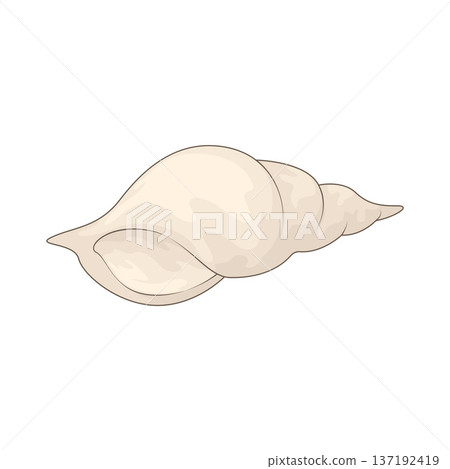 Illustration of Shell Illustration of Shell 137192419