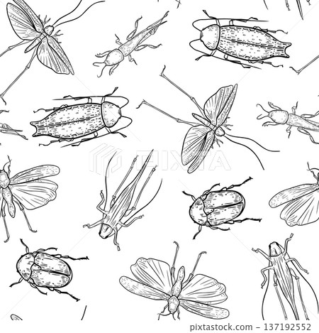 Vector seamless pattern with insects graphic sketch on white background. Bugs and grasshopper outline hand drawn for textile print. Pest insects in linear art style repeat design for paper, packaging. 137192552