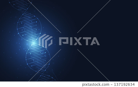 Abstract science template background. Technology structure molecule  lines and dots connection. Wallpaper or banner with a DNA, Medical, Chemistry. 137192634