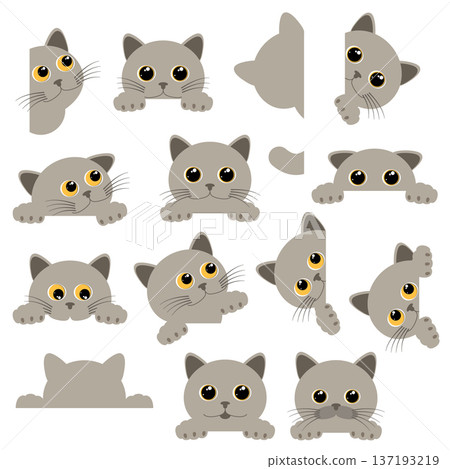Cute and adorable cat illustration collection, Cute and adorable cat illustration collection, 137193219