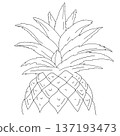a simple line drawing of a pineapple, illustration art a simple line drawing of a pineapple, illustration art 137193473
