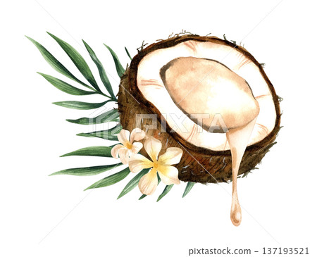 Watercolor half coconut composition with milk and tropical leaves. Botanical isolated illustration. 137193521