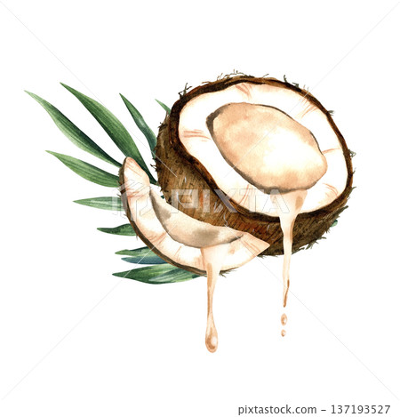 Watercolor coconut composition with half and slice with milk and tropical leaves. Botanical isolated illustration. Watercolor coconut composition with half and slice with milk and tropical leaves. Botanical isolated illustration. 137193527