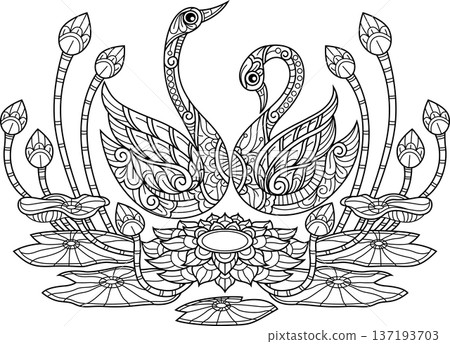 Hand Drawn Of Swans and Lotus Flowers Line Art for Coloring Book Hand Drawn Of Swans and Lotus Flowers Line Art for Coloring Book 137193703