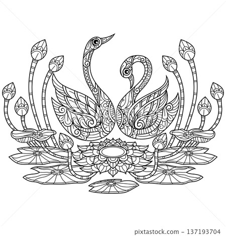 Hand Drawn Of Swans and Lotus Flowers Line Art for Coloring Book Hand Drawn Of Swans and Lotus Flowers Line Art for Coloring Book 137193704