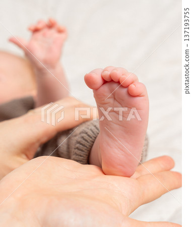 Vertical close-up of newborn baby feet resting in a gentle adult hand. Soft lighting, warm tones, and clean minimal styling make this image ideal for themes of parenting, tenderness, and early Vertical close-up of newborn baby feet resting in a gentle adult hand. Soft lighting, warm tones, and clean minimal styling make this image ideal for themes of parenting, tenderness, and early 137193755