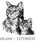 Domestic cat with kitten portrait illustration in black and white pencil style isolated on white background. Hand drawn realistic mother cat and baby symbolizing parenting, care and family love. High 137194232
