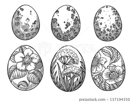Easter eggs painted floral vector set in black and white sketch. Quail egg with flower and speckled shell. Vintage hand drawn illustration for spring card design. Perfect for religious and farm print. Easter eggs painted floral vector set in black and white sketch. Quail egg with flower and speckled shell. Vintage hand drawn illustration for spring card design. Perfect for religious and farm print. 137194350
