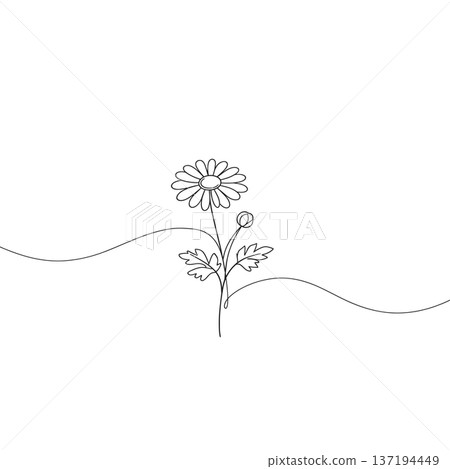 Elegant feverfew flower continuous line drawing minimalist botan. 137194449
