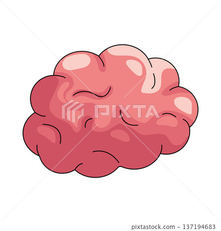Illustration of brain Illustration of brain 137194683