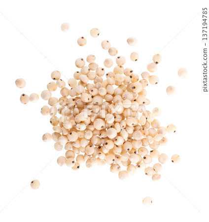Sorghum seeds isolated on white background. Sorghum bicolor or sorgo grains. Clipping path. Top view. 137194785