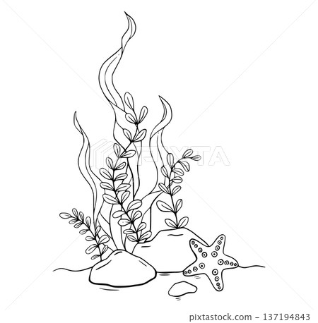 Coloring of Sea Pebbles with marine shell, bottom pebble, seaweed algae, star. Hand drawn outline illustration. Marine, tropical composition for souvenir, posters, sticker, printing, banner. 137194843