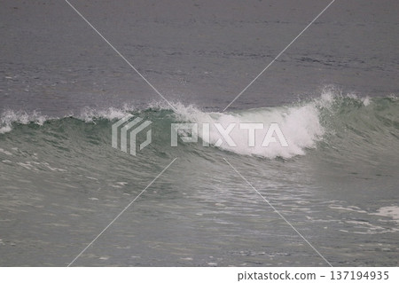 波浪之滴 波浪之滴 137194935