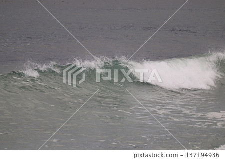 波浪之滴 波浪之滴 137194936