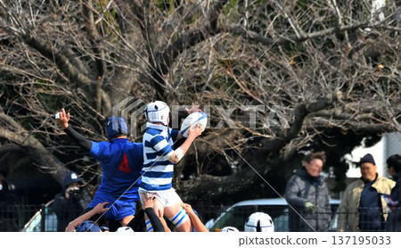 rugby, high school rugby 137195033