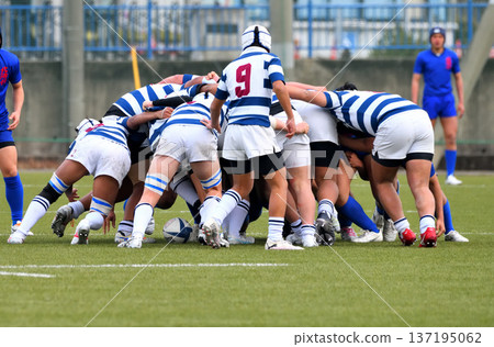 rugby, high school rugby rugby, high school rugby 137195062