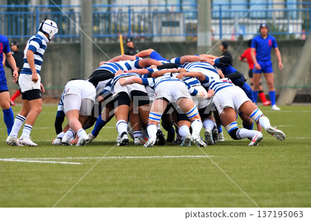 rugby, high school rugby rugby, high school rugby 137195063