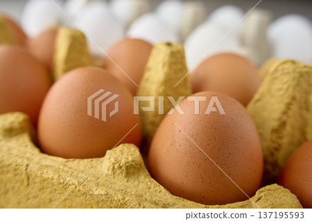 Brown and white chicken eggs in cardboard cartons close up Brown and white chicken eggs in cardboard cartons close up 137195593