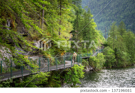 Woman walking dog on scenic lakeside alpine walkway in Austria 137196081