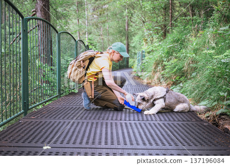 Woman giving water to dog during hike on alpine forest trail in Austria Woman giving water to dog during hike on alpine forest trail in Austria 137196084
