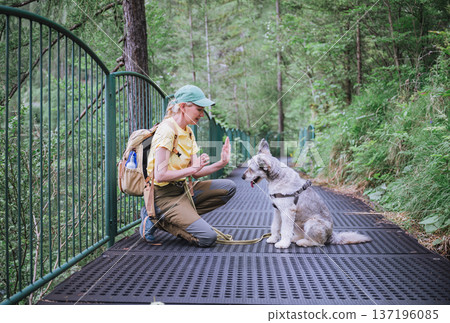 Woman training dog on scenic alpine forest walkway in Austria Woman training dog on scenic alpine forest walkway in Austria 137196085