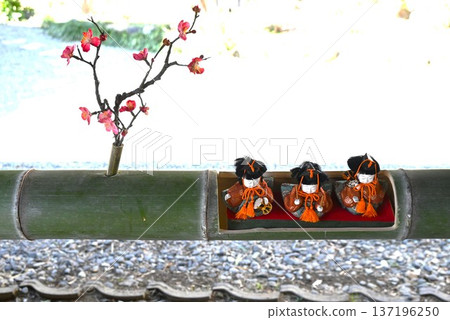 Chicken decoration Chicken decoration 137196250