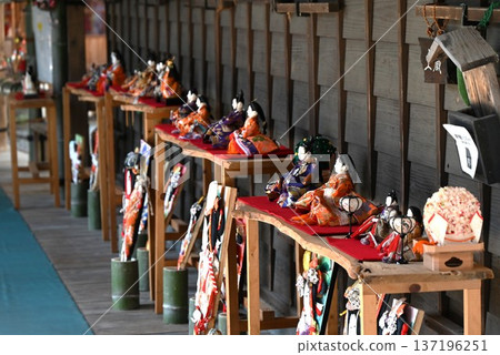 Chicken decoration 137196251