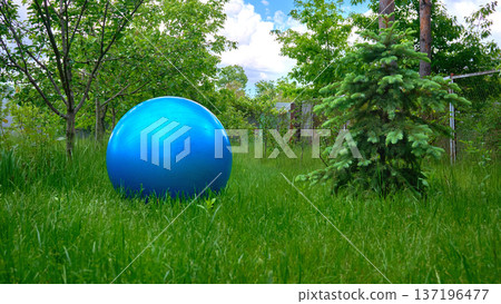 Summer spring resting.Large blue rubber ball for games,l sports exercises Summer spring resting.Large blue rubber ball for games,l sports exercises 137196477