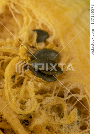 orange pumpkin cut in half with soft juicy flesh and seeds without husks, sliced pumpkin with baking pulp and healthy and nutritious seeds orange pumpkin cut in half with soft juicy flesh and seeds without husks, sliced pumpkin with baking pulp and healthy and nutritious seeds 137196578